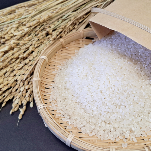 学校給食へ地元の米、野菜を供給